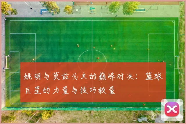 姚明与莫兹戈夫的巅峰对决：篮球巨星的力量与技巧较量