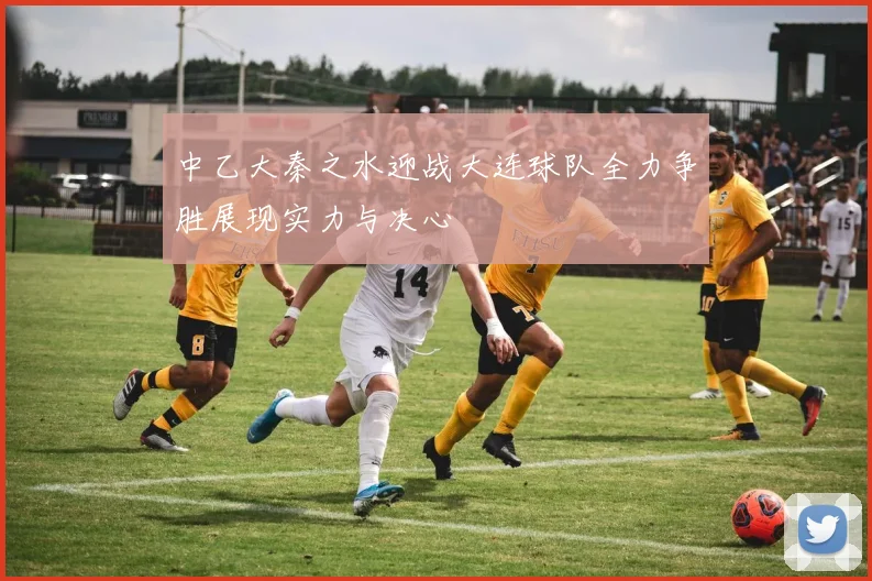中乙大秦之水迎战大连球队全力争胜展现实力与决心
