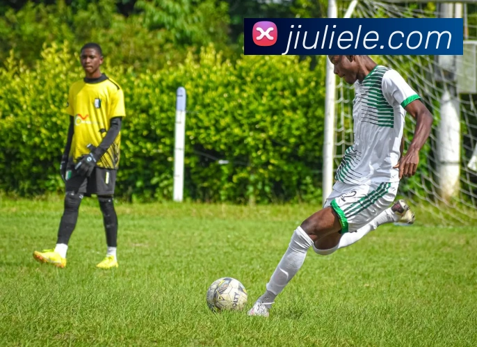 333体育品牌故事