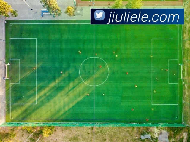 333体育服务体系